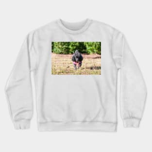 The Wok and Barking Crewneck Sweatshirt